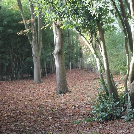 Prázdninový dům Les Bambous *