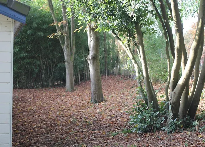 Hébergement de vacances Les Bambous *